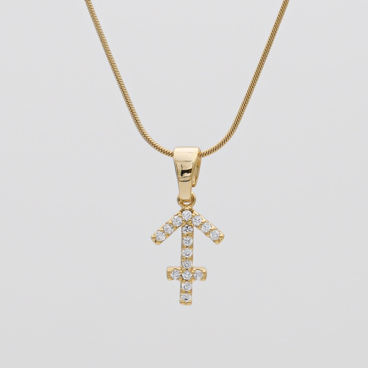 ICY Zodiac Symbol necklace