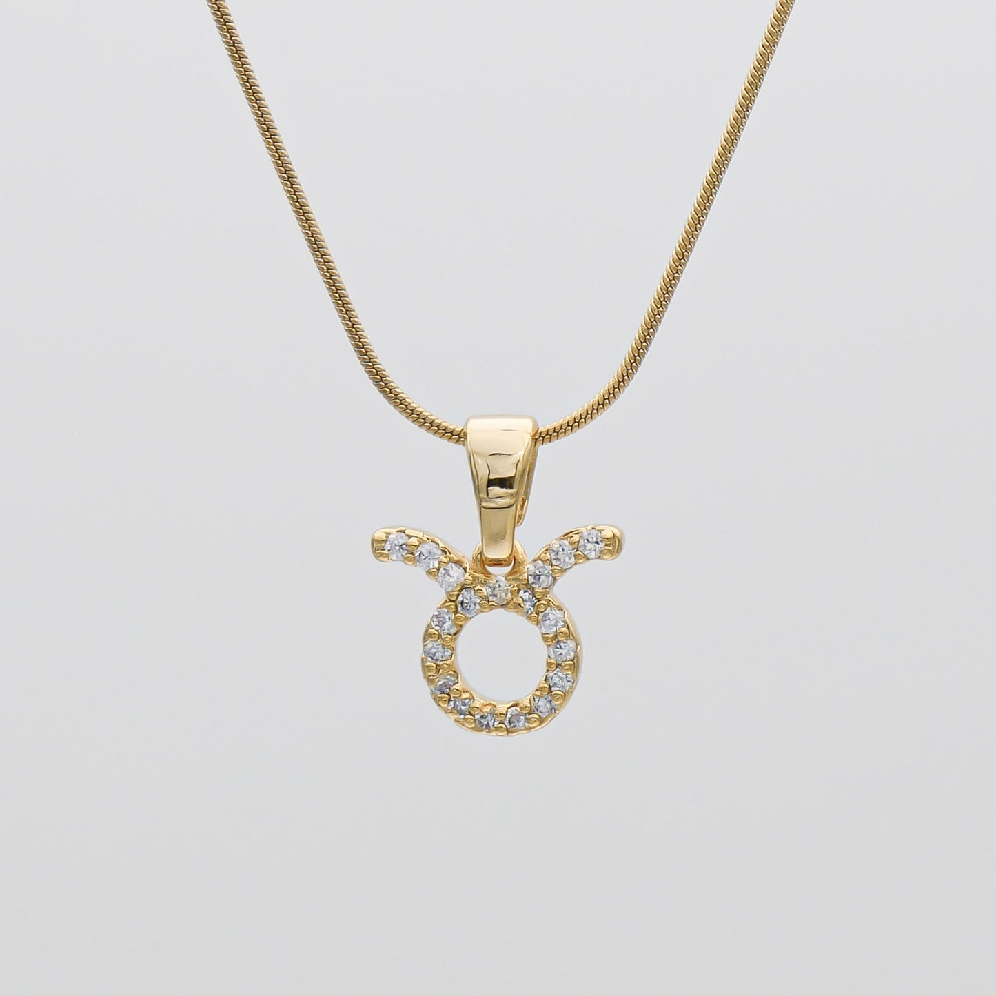 ICY Zodiac Symbol necklace