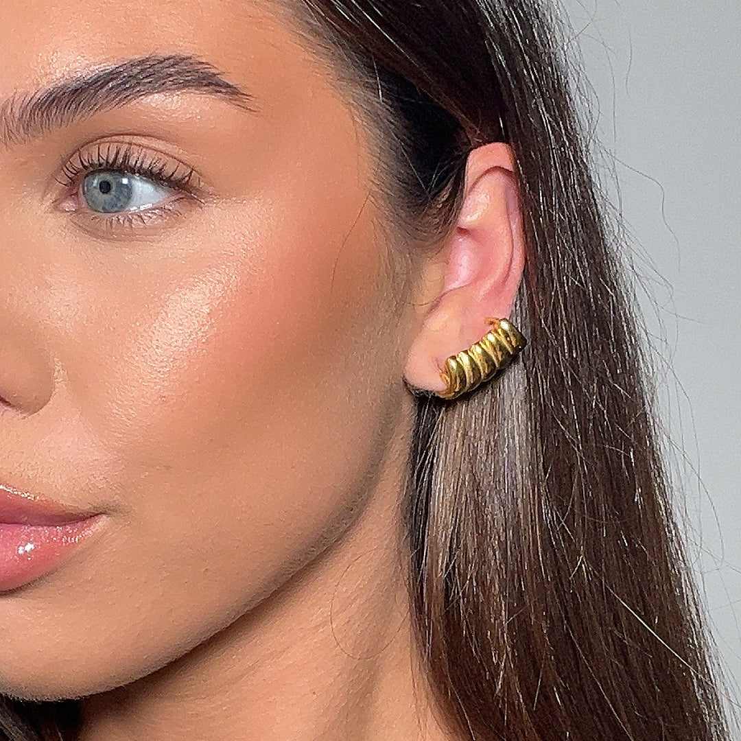 Tamira Claw Earrings