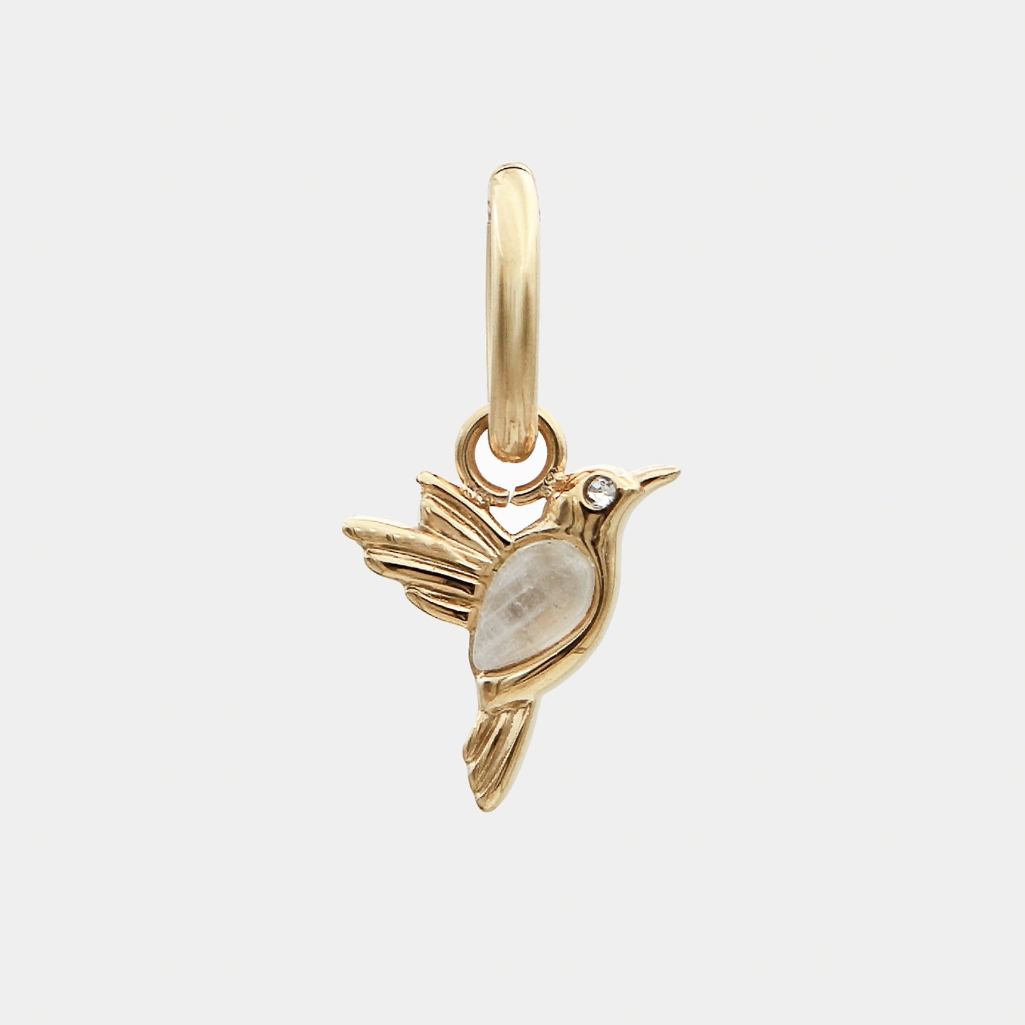Tropical Charms