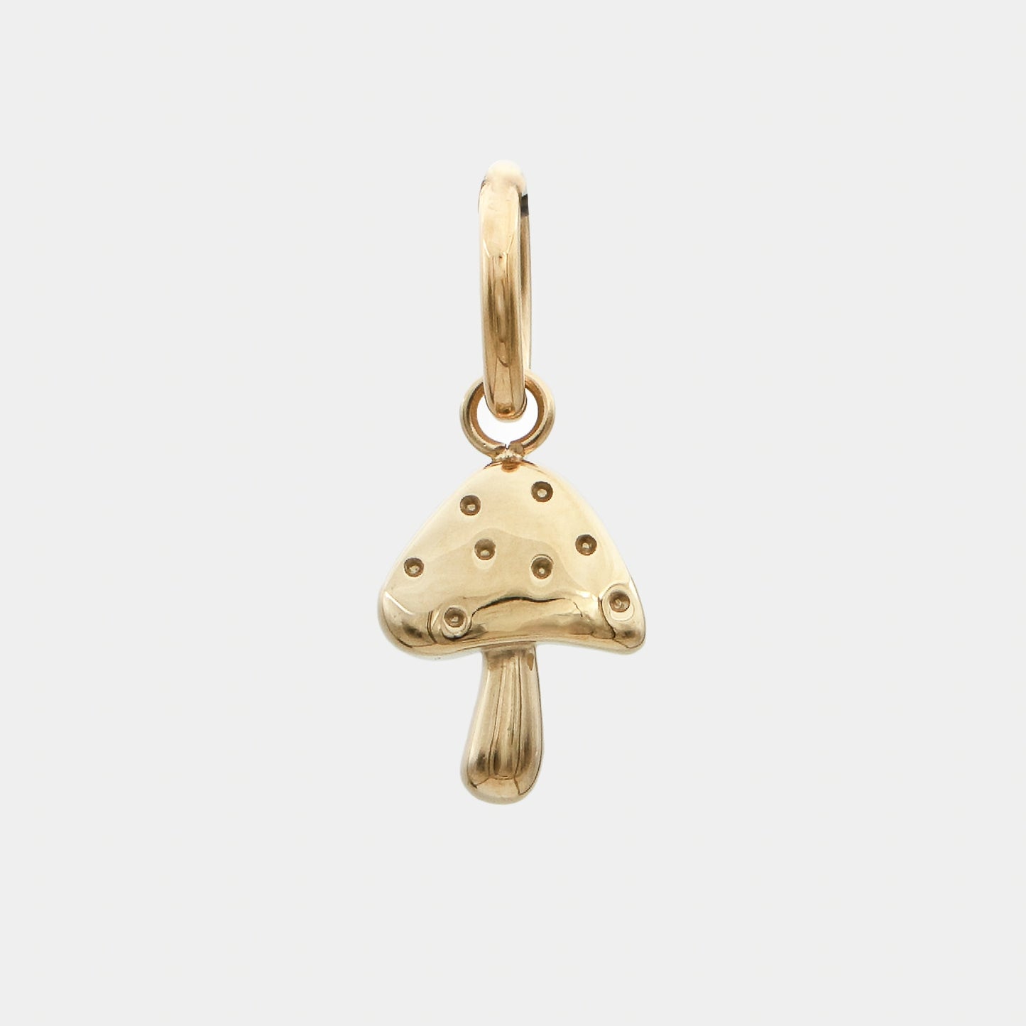 Tropical Charms