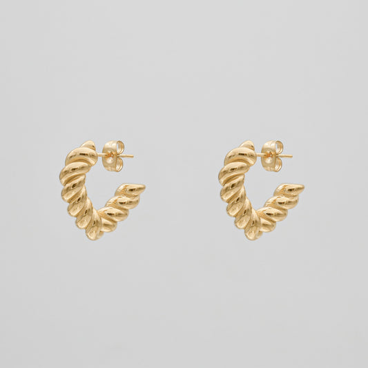 Cara Twisted Earrings