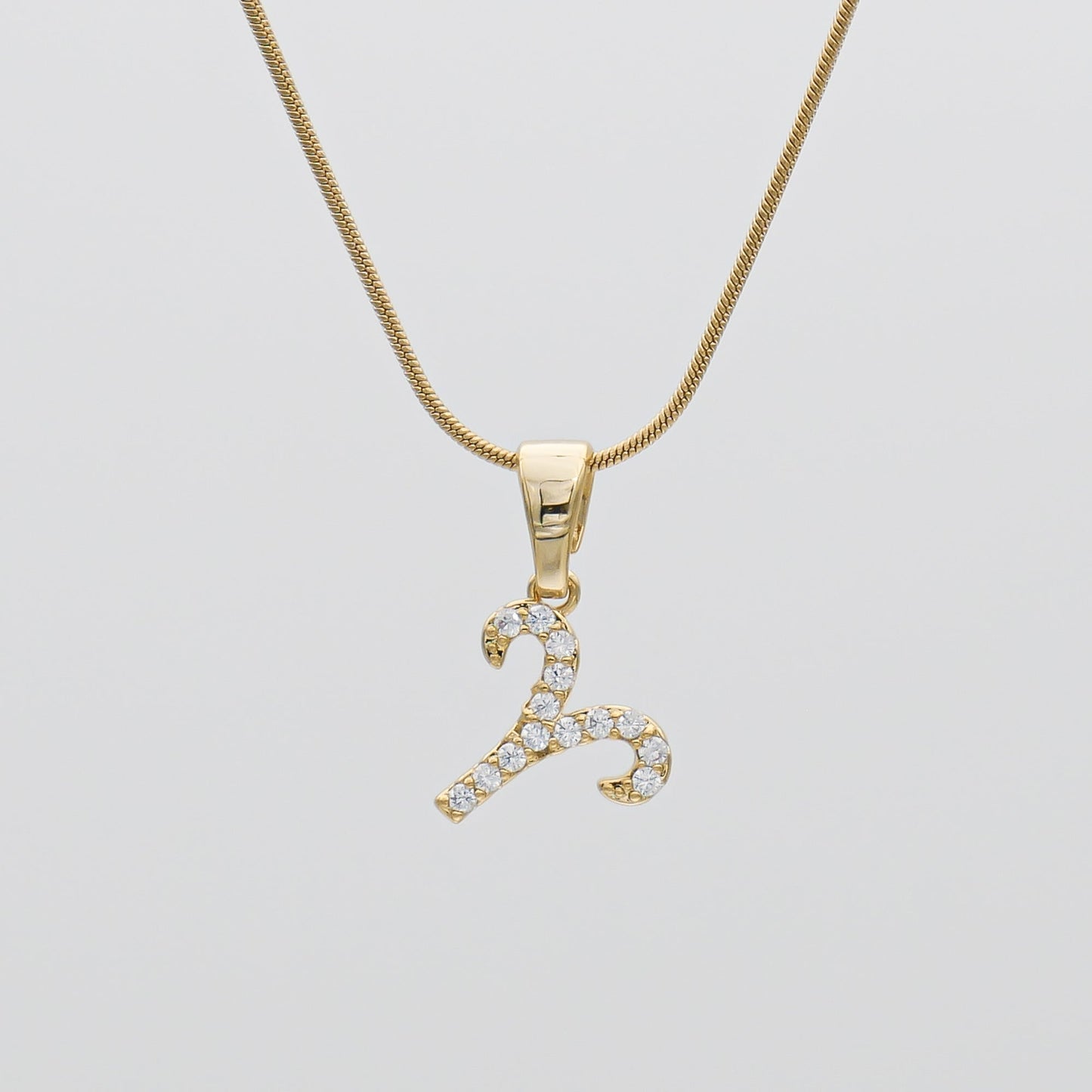 ICY Zodiac Symbol necklace