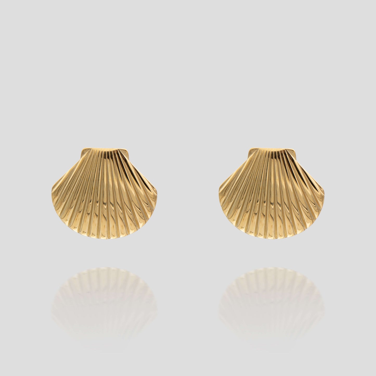 Kailani Seashell Earrings