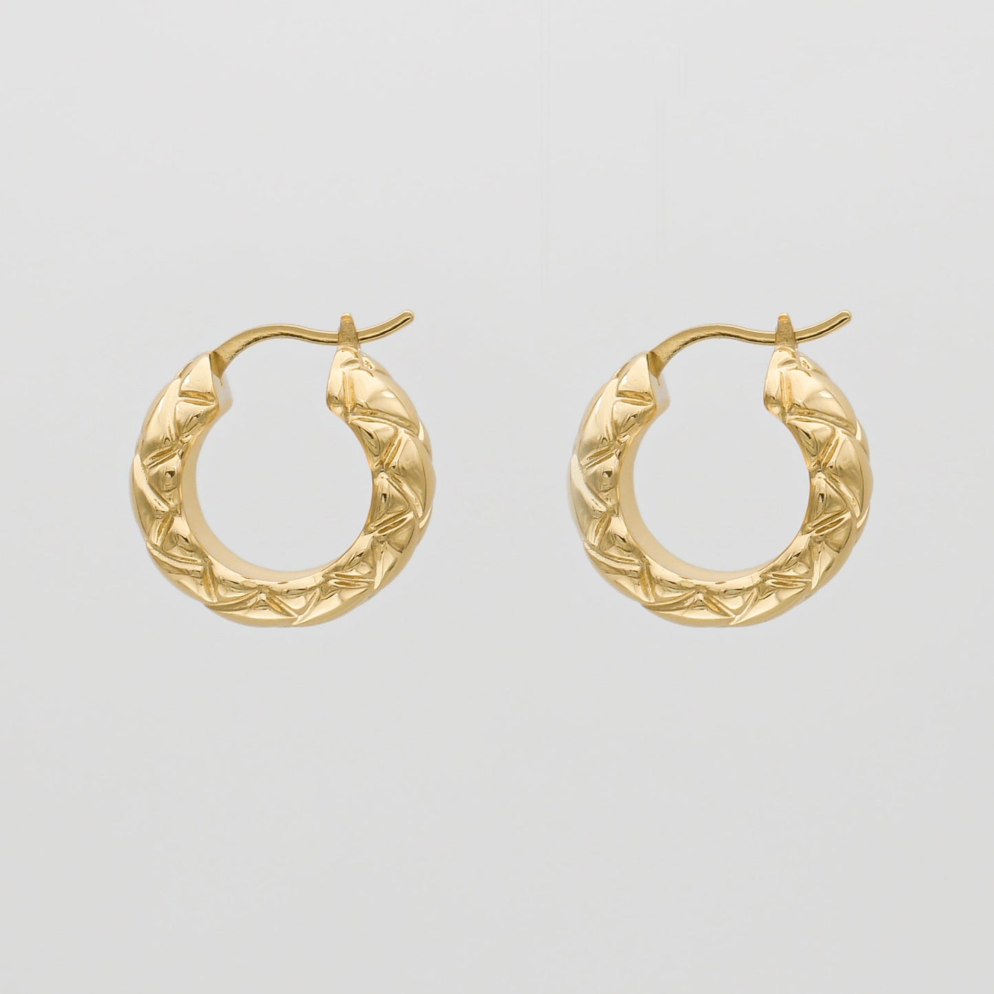 Kyla Hoop Earrings