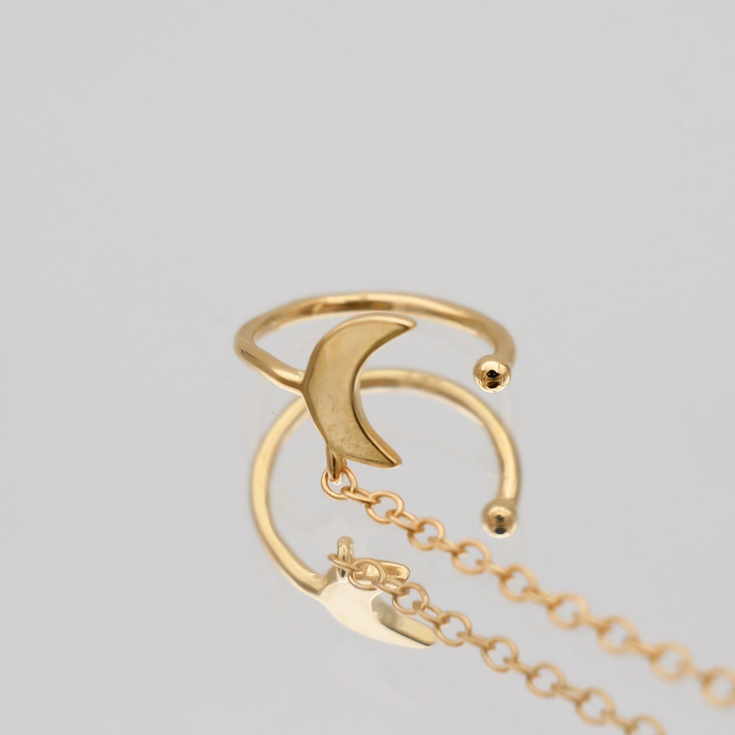 Moon & Star Drop Earring