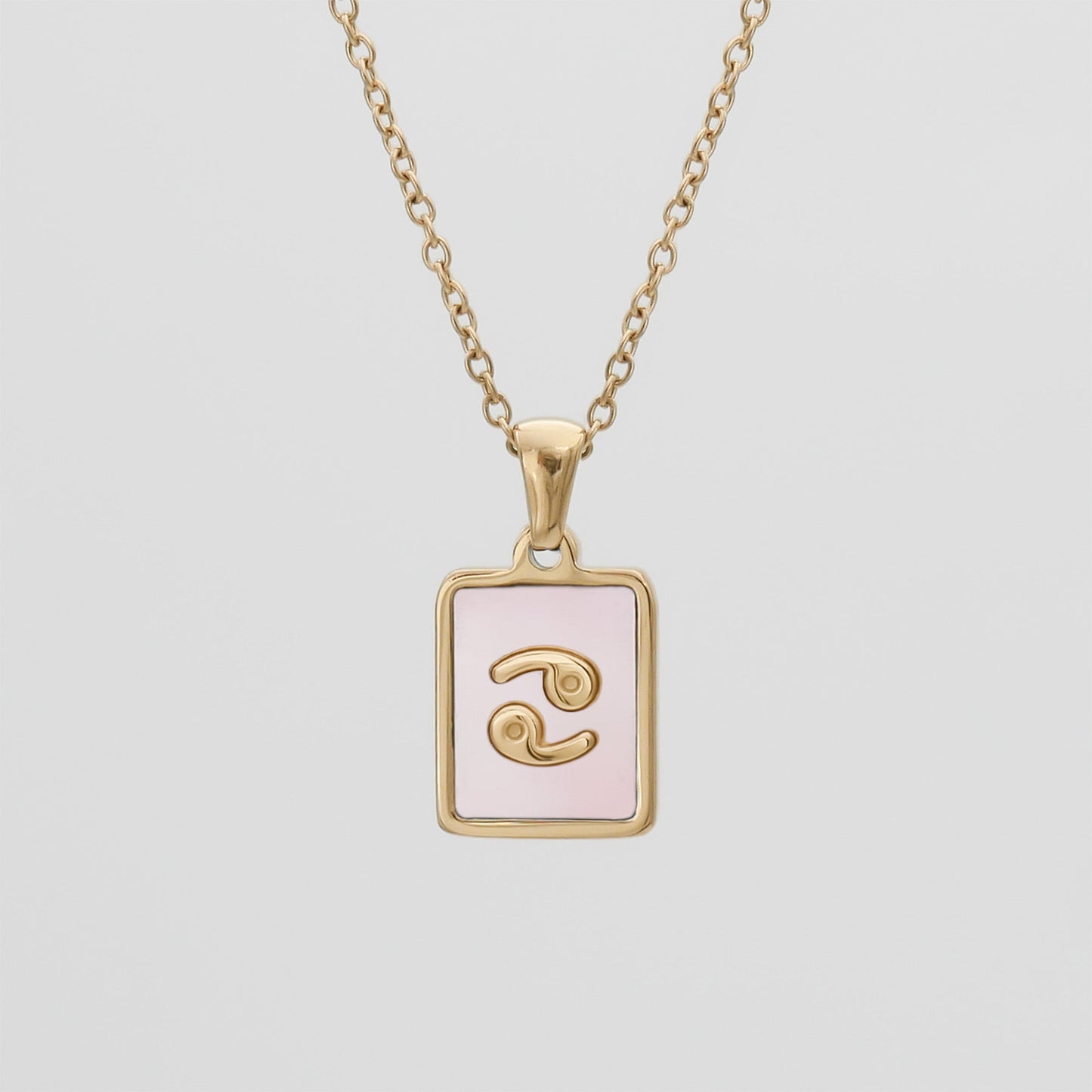 Pink Zodiac Symbol Necklace