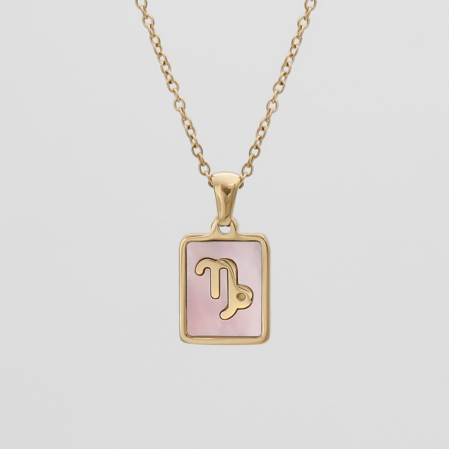 Pink Zodiac Symbol Necklace